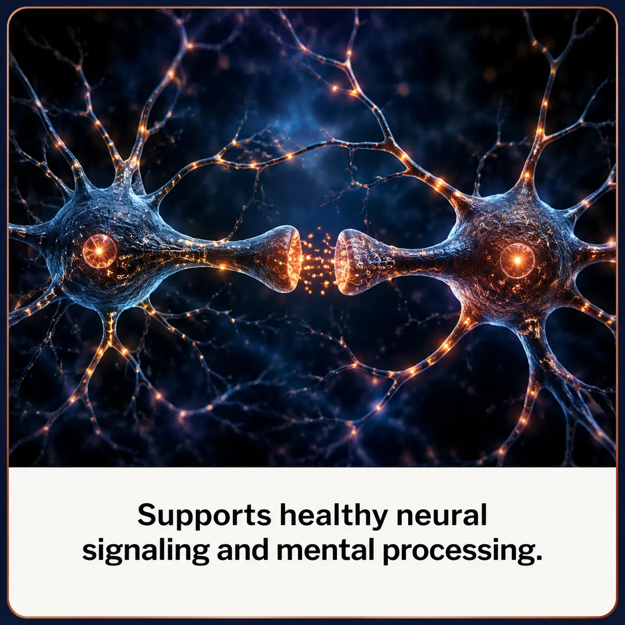 Illustration of two neurons signaling